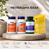 Набір «Необхідна база»